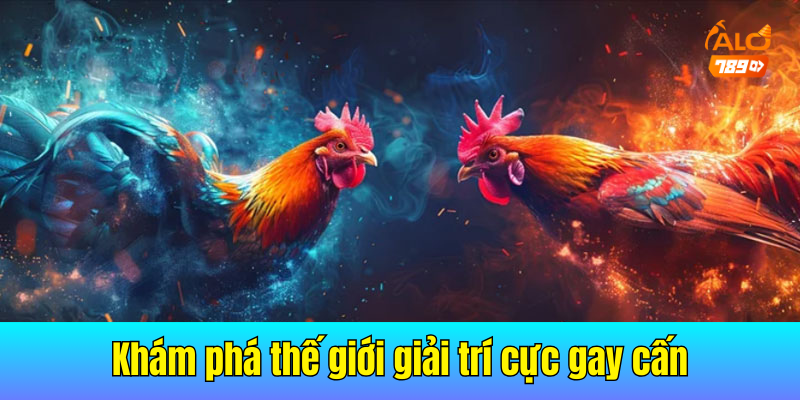 Đá gà Alo789 – Khám phá thế giới giải trí trực tuyến cực gay cấn
