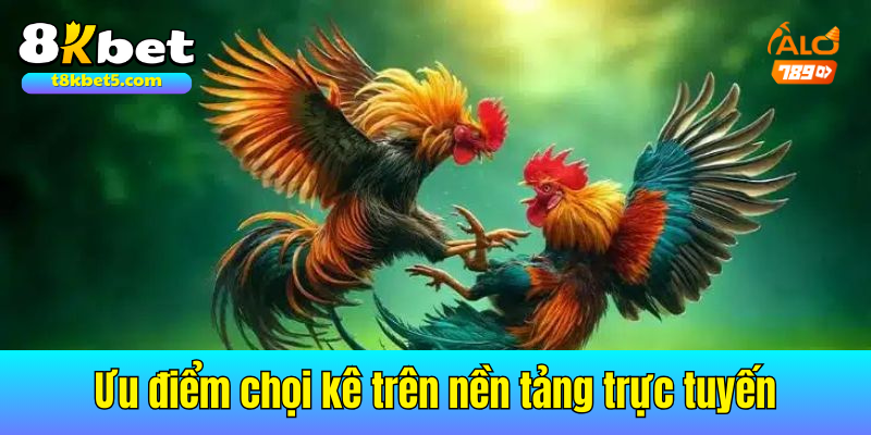 Ưu điểm khi tham gia giải trí chọi kê trên nền tảng trực tuyến