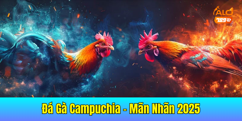 Đá Gà Campuchia – Các Trận Đấu Mãn Nhãn Người Xem 2025