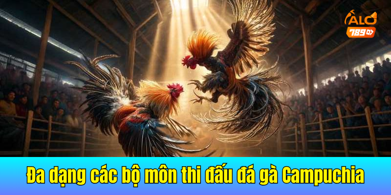 Những trận đấu mãn nhãn kích thích đông đảo người xem