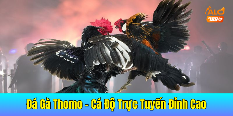 Đá Gà Thomo – Địa Điểm Cá Độ Trực Tuyến Đỉnh Cao Năm 2025