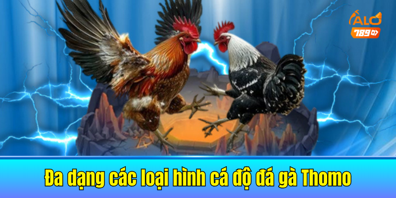 Đa dạng các loại hình cá độ đá gà Thomo
