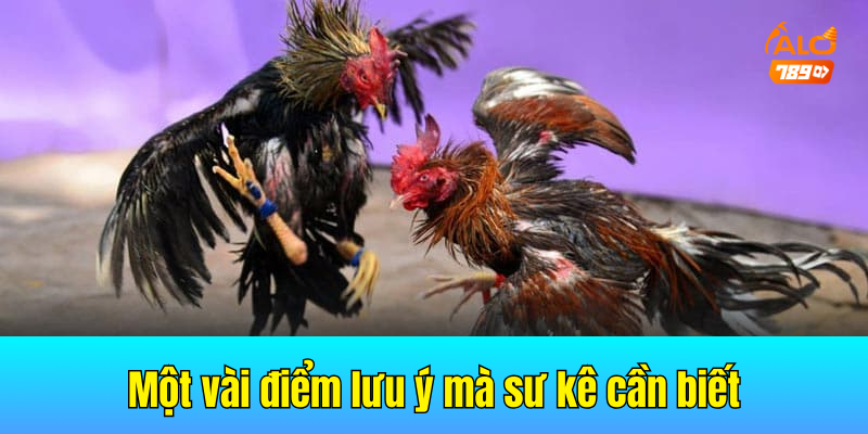 Một vài điểm lưu ý mà sư kê cần biết